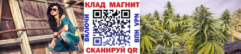  COCAIN Нижневартовск